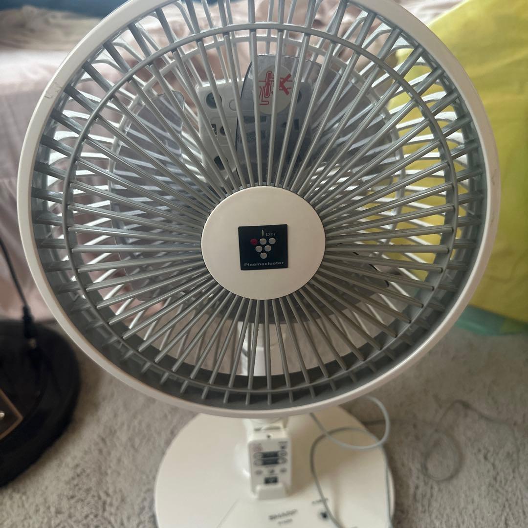 21年製 シャープ PJ-N2DS-W 扇風機　美品