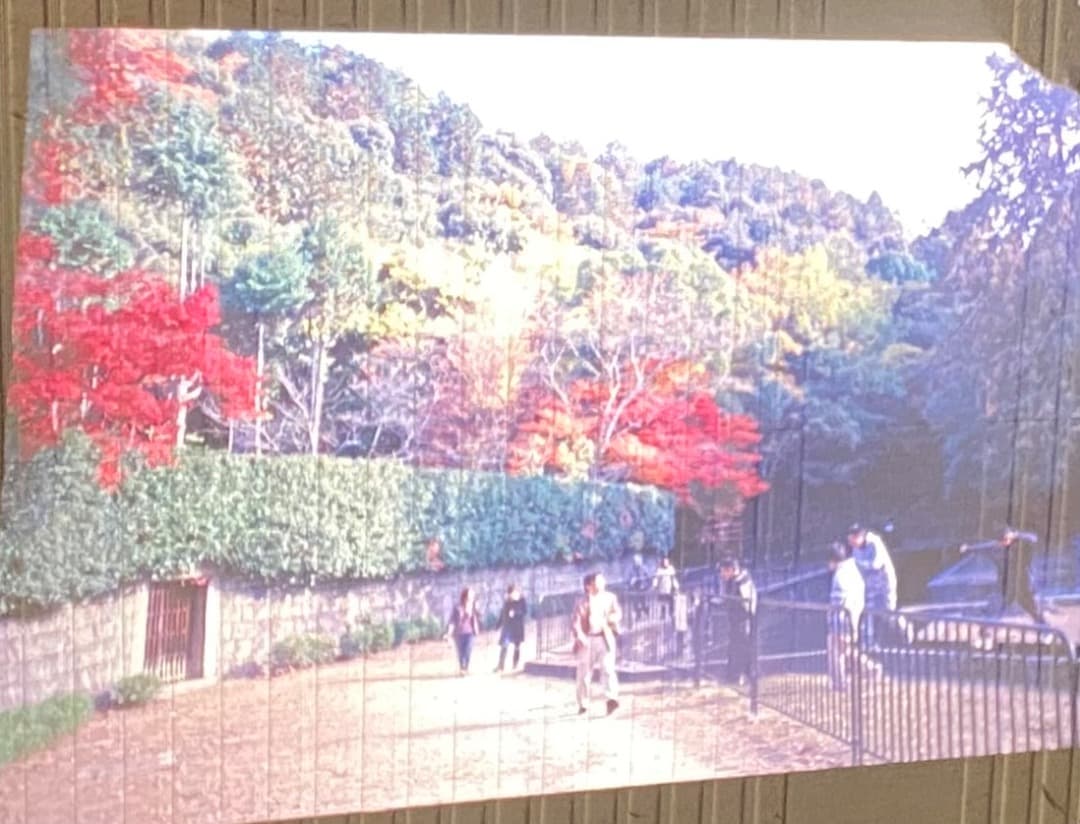 CABIN オートキャビン 映写確認済 スライドマガジン22枚付