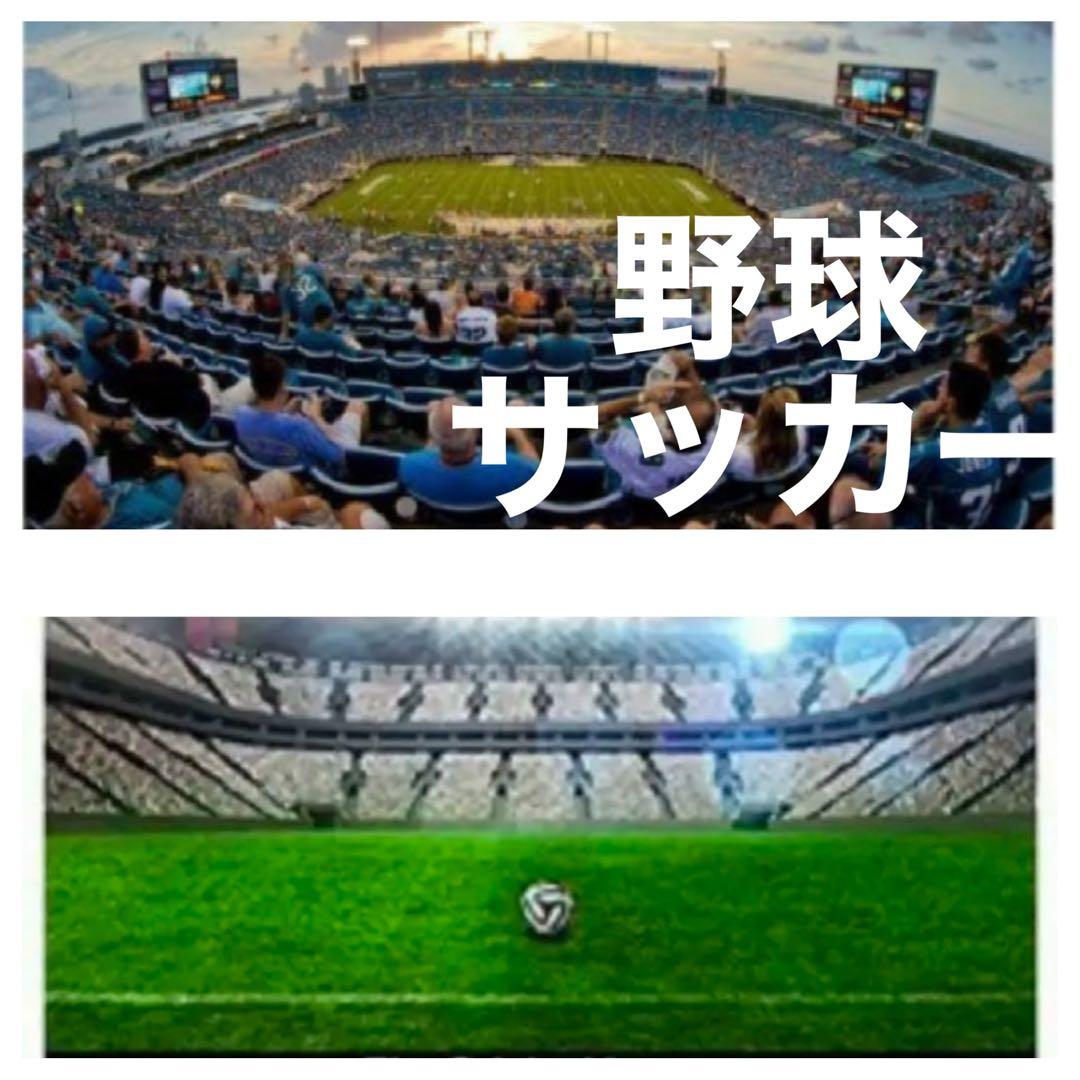 Nikon 一眼レフ対応 超望遠レンズ　初心者でもサポートします！