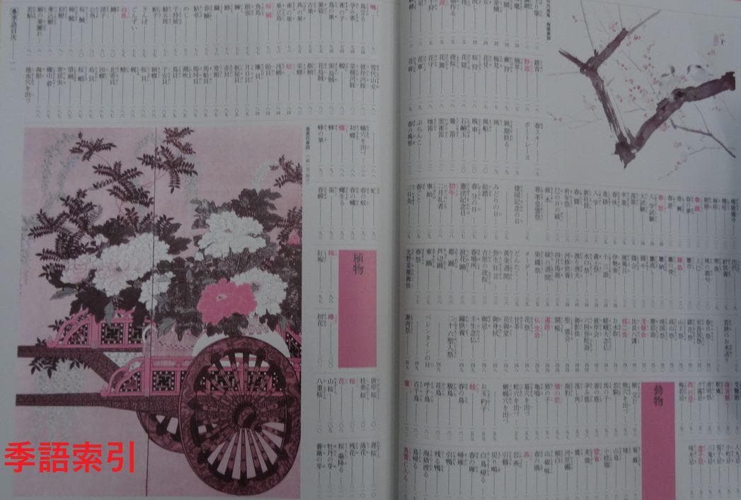 カラー版　新日本大歳時記 全5巻