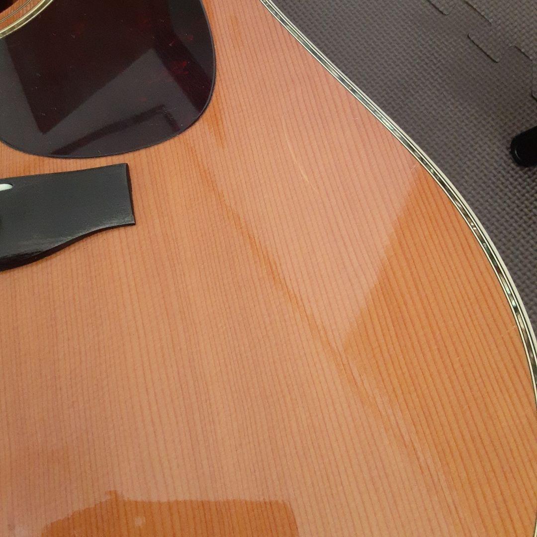 Morris日本製 w30 アコースティックギター ドレッドノート