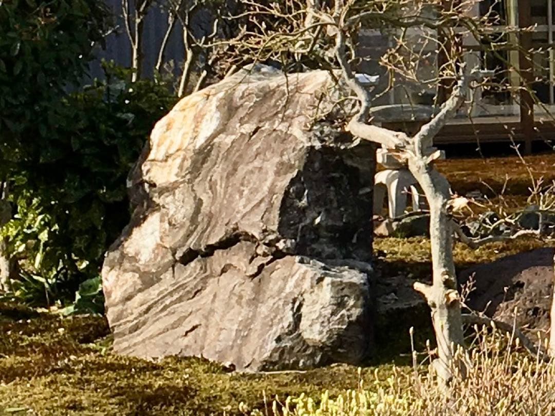 天然石 2点セット！特大 黒白縞模様 茶色【石川県引き取り限定】まとめ割