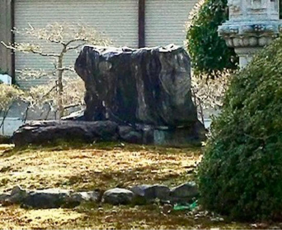 天然石 2点セット！特大 黒白縞模様 茶色【石川県引き取り限定】まとめ割