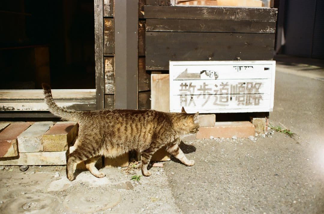 作例あり☆良品【整備済】PENTAX Super-Takumar 35mm f2