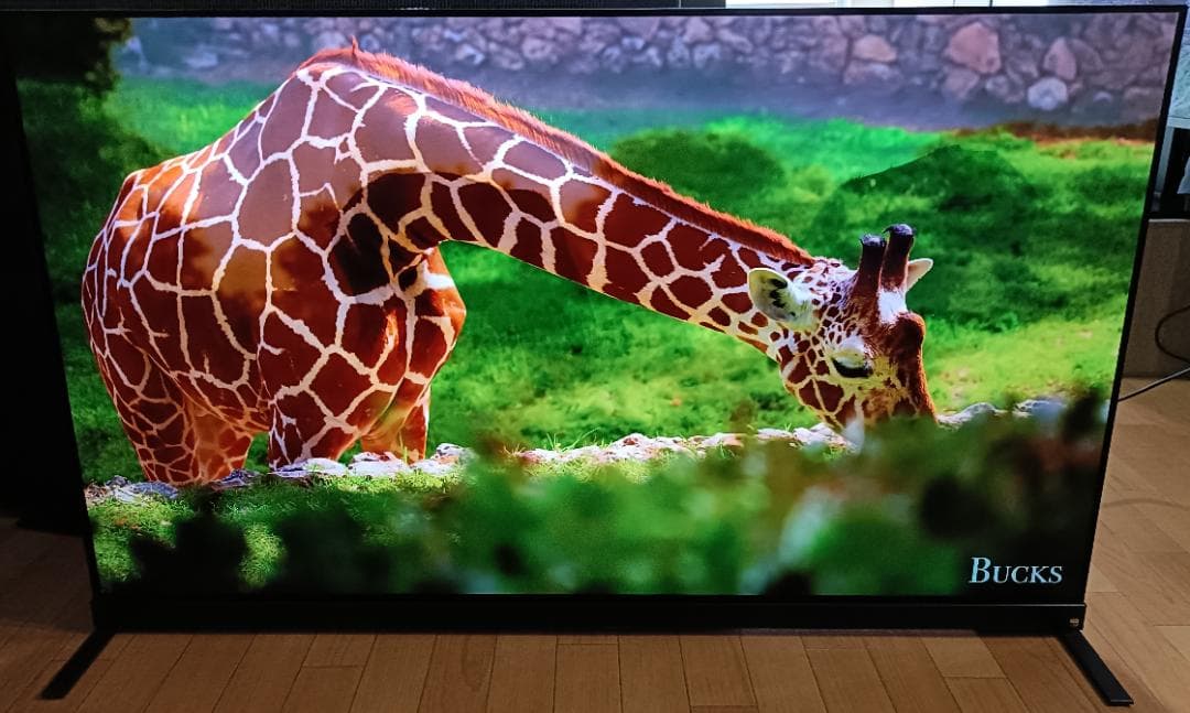 23年製 東芝REGZA 55V型 55X9900L 4K有機ELテレビ