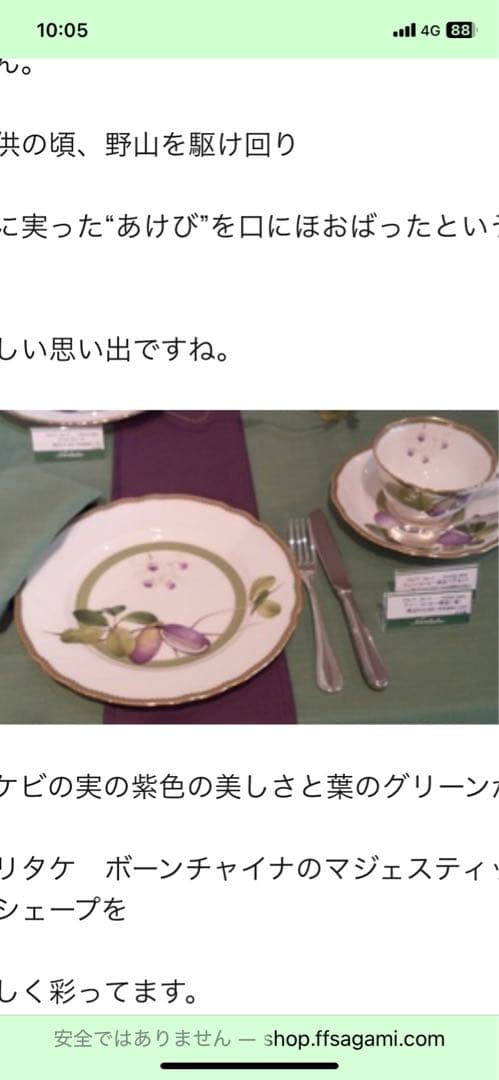 Noritakeアケビア　21センチ4枚　SALE‼️