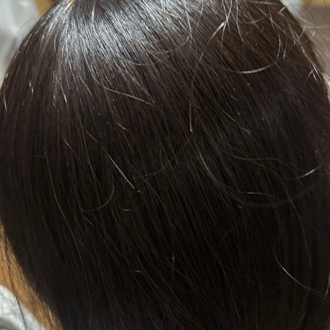 美容師実技試験用　カットマネキン　モデルウィッグ　5体セット