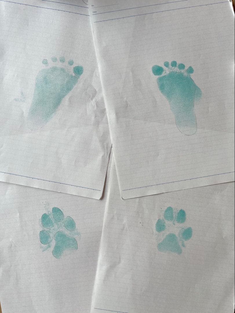 愛犬や赤ちゃんの足跡で作るオンリーワン犬用収納なんでもボックス