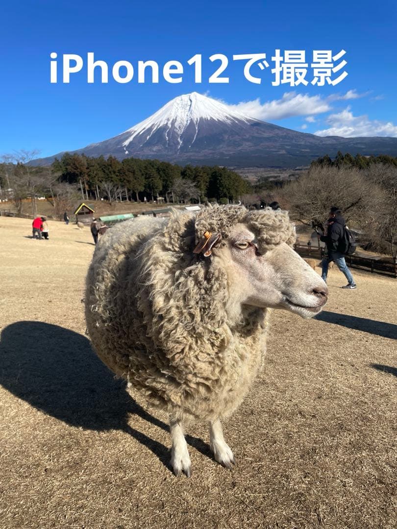 iphone12 64GB simフリー