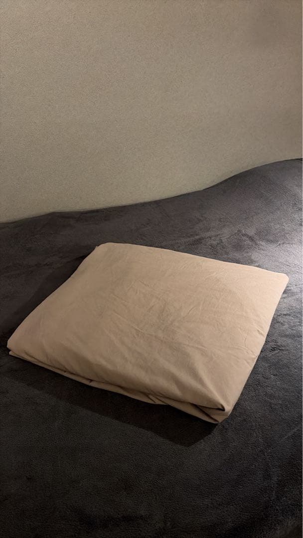 c*o様 羽毛ふとん ポーランド産ホワイトグースダウン93％ クイーンサイズ