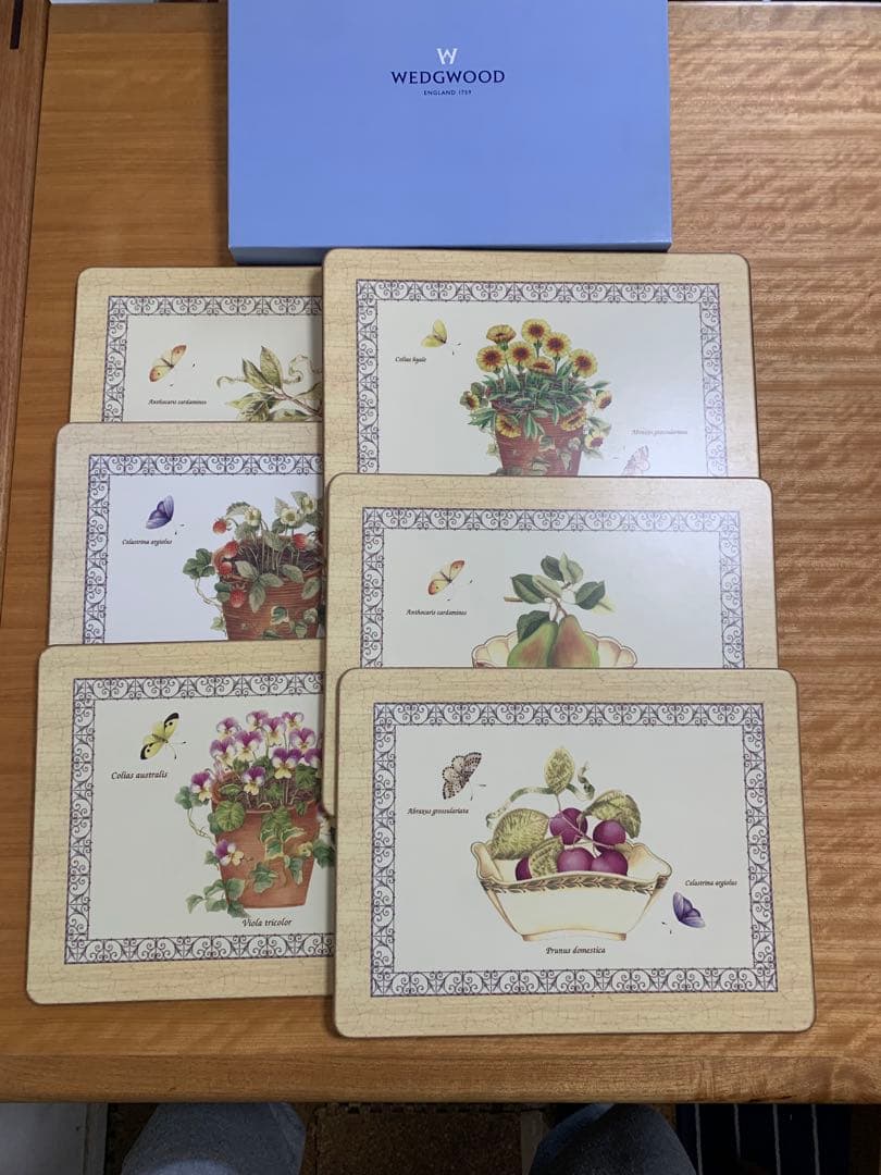 希少✨サラズガーデンシリーズ ランチョン　プレートマット6種柄