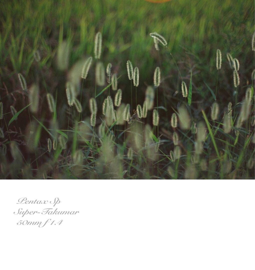 ★pentax sp +タクマーf1.4★完動＊美品＊初期保証＊リザード本革外装