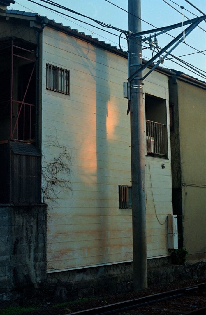 ライカ Elmar 50mm f2.8 Mマウント　作例有り