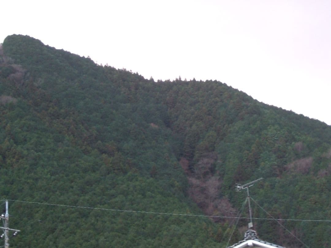 FUJIFILM Finepix A610 デジタルカメラ 動作確認済み