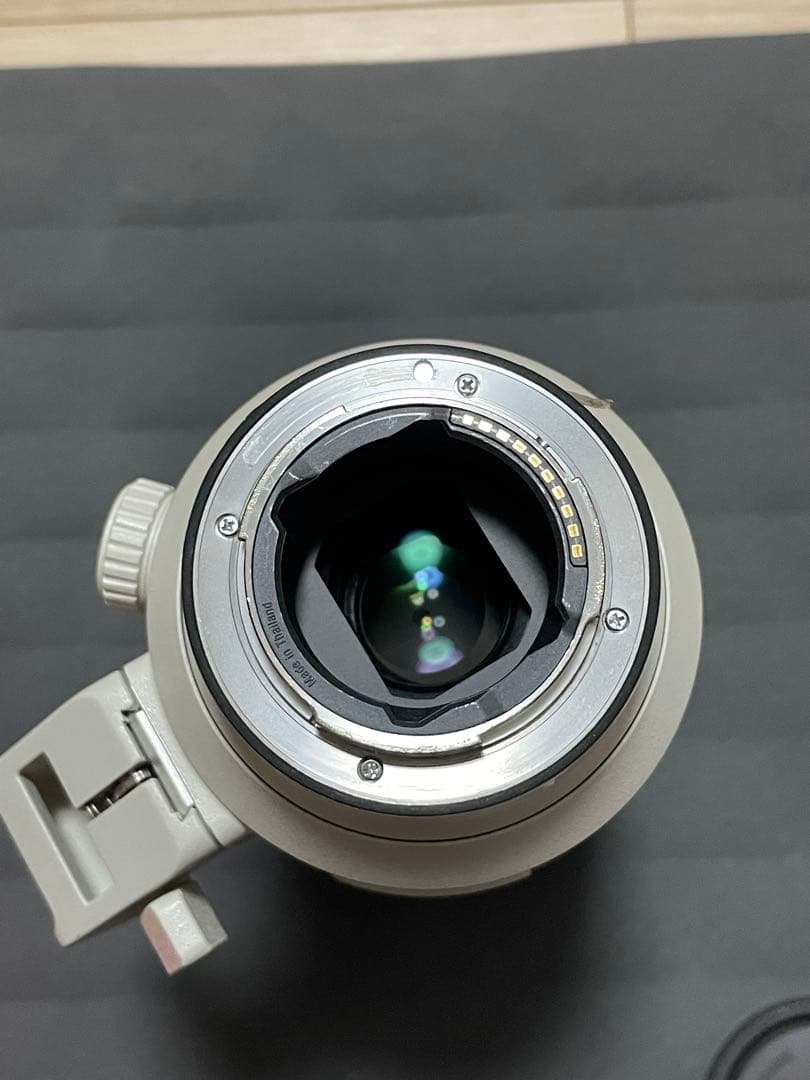 【ボボ】SONY FE70-200mm F2.8GM OSS