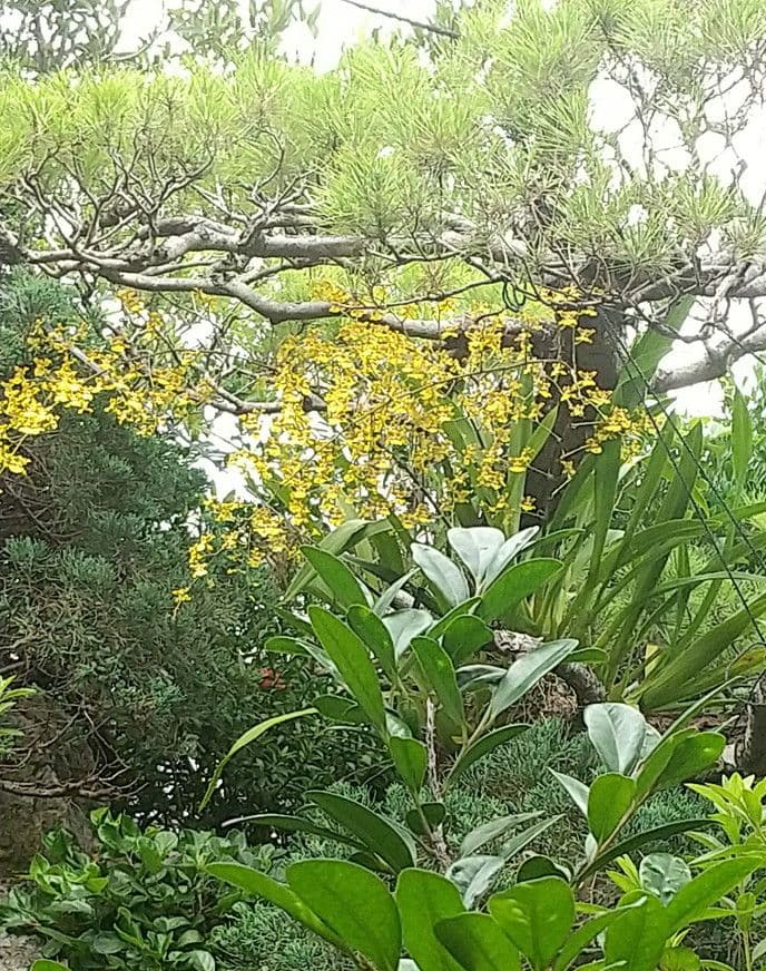 【伊勢崎満】緋襷徳利