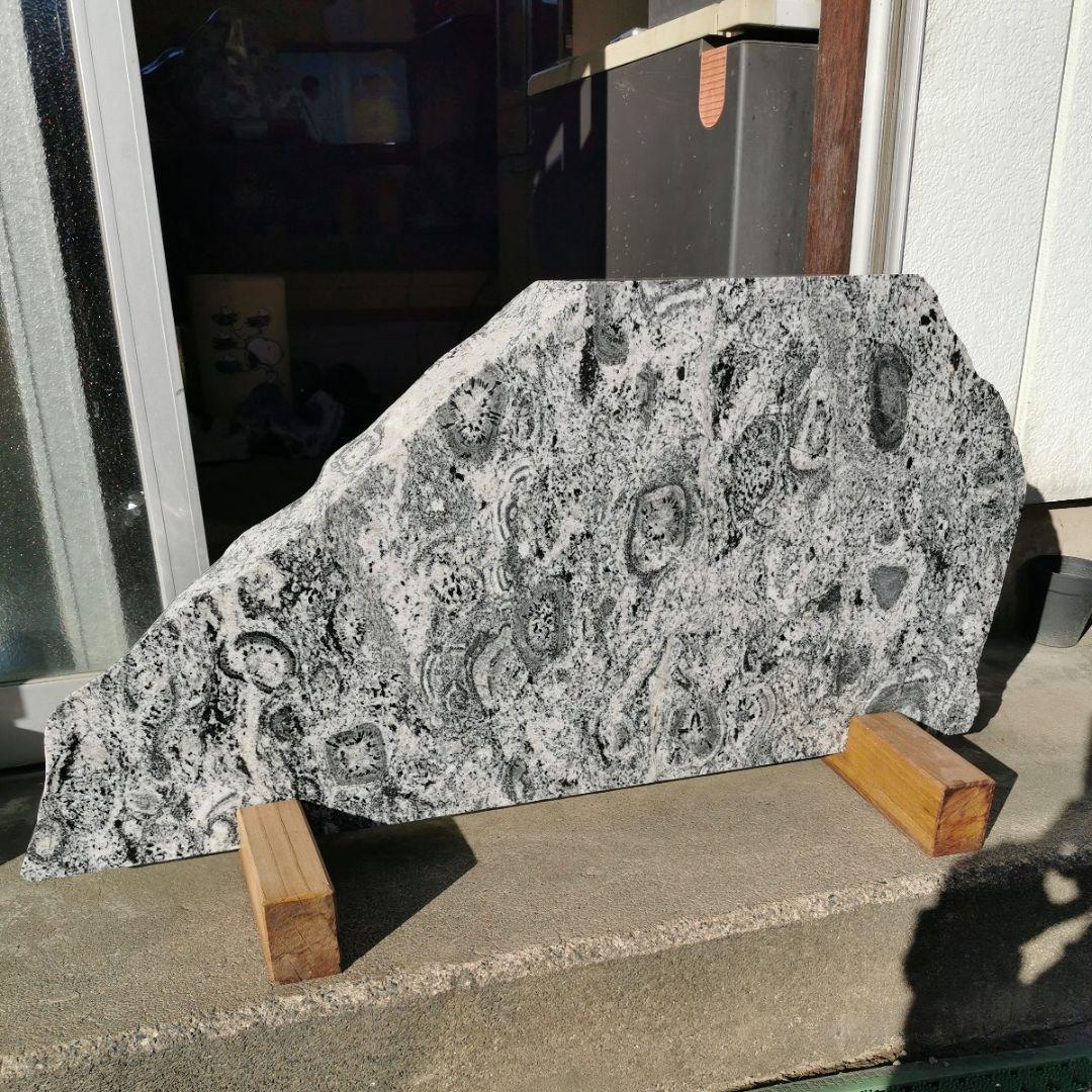 富山県　常願寺川産　ナポレオン石　42.5キロ　庭石　鑑賞石　石　置物　オブジェ