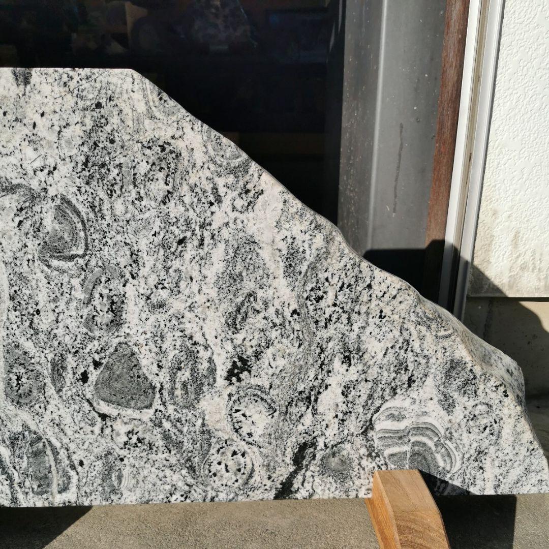 富山県　常願寺川産　ナポレオン石　42.5キロ　庭石　鑑賞石　石　置物　オブジェ