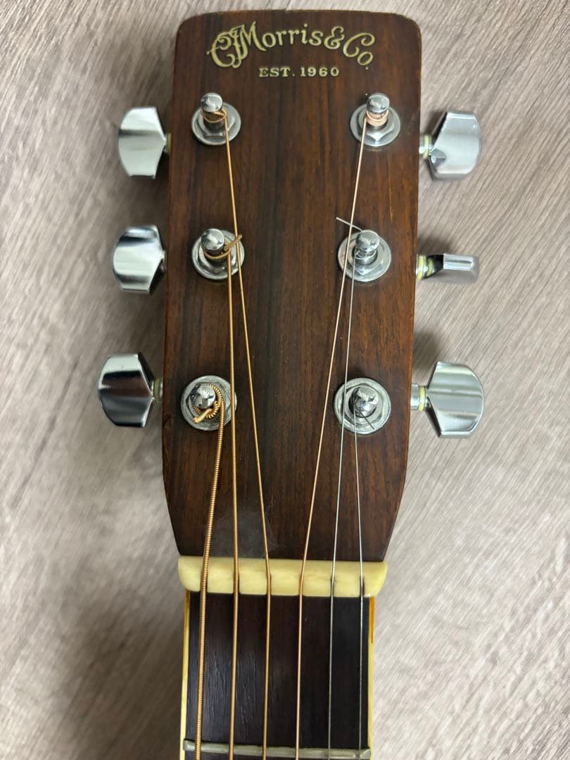 Morris & Co. アコースティックギター W 50 H