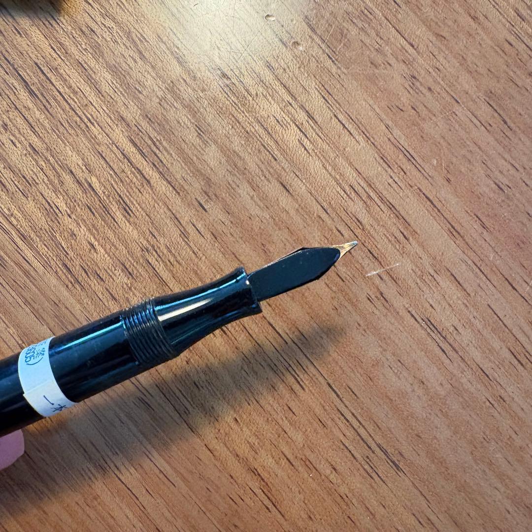 【パンダ】sailor セーラー 万年筆 大正　KG8 箱あり