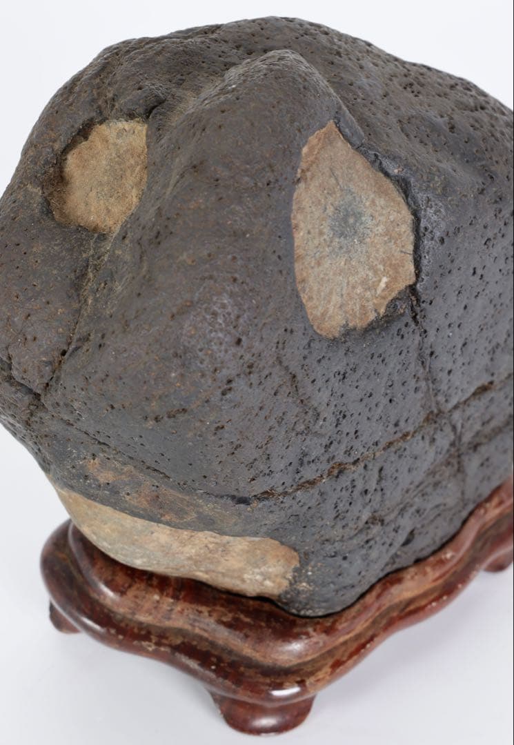 菊花石 花紋石 台座付 1.4kg 原石 鑑賞石 自然石 水石 盆石 牡丹石　蛙