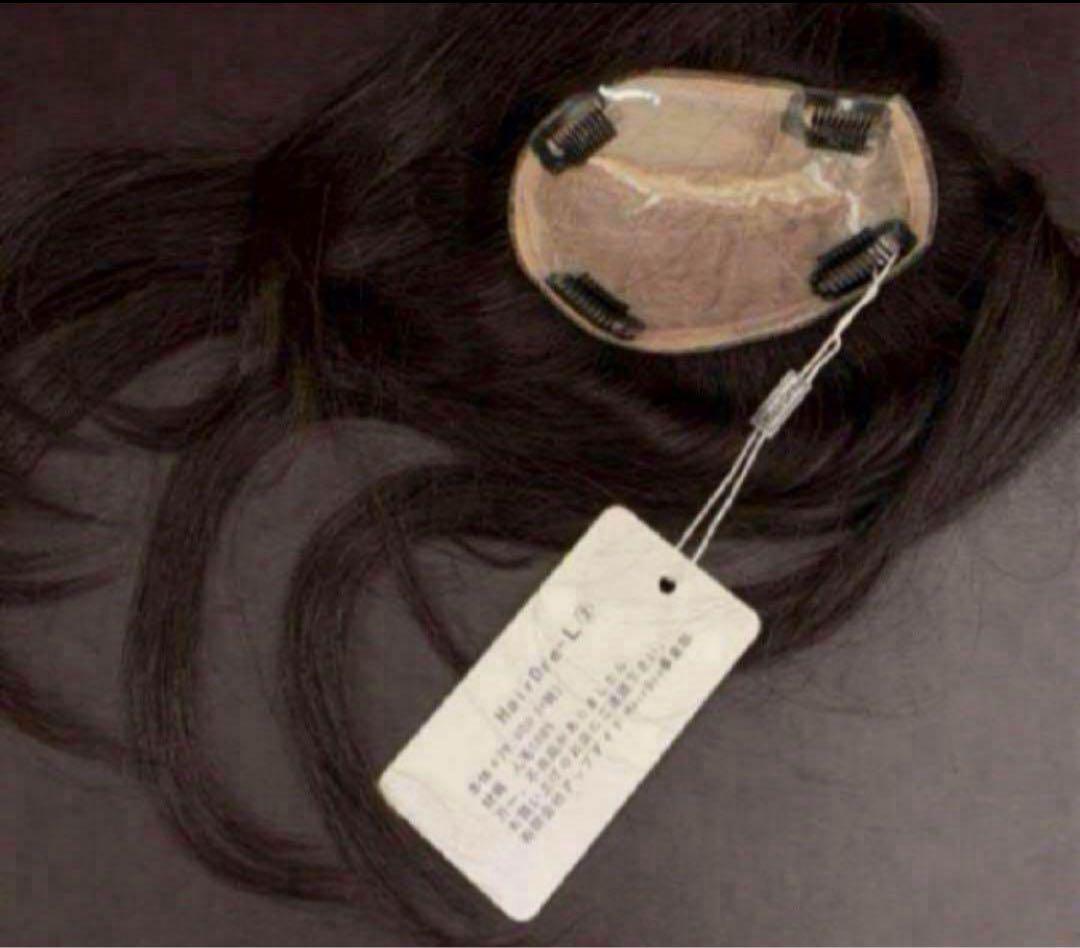 HairDre ヘアドレ L② 人毛100%ウィッグ ダークブラウン黒茶