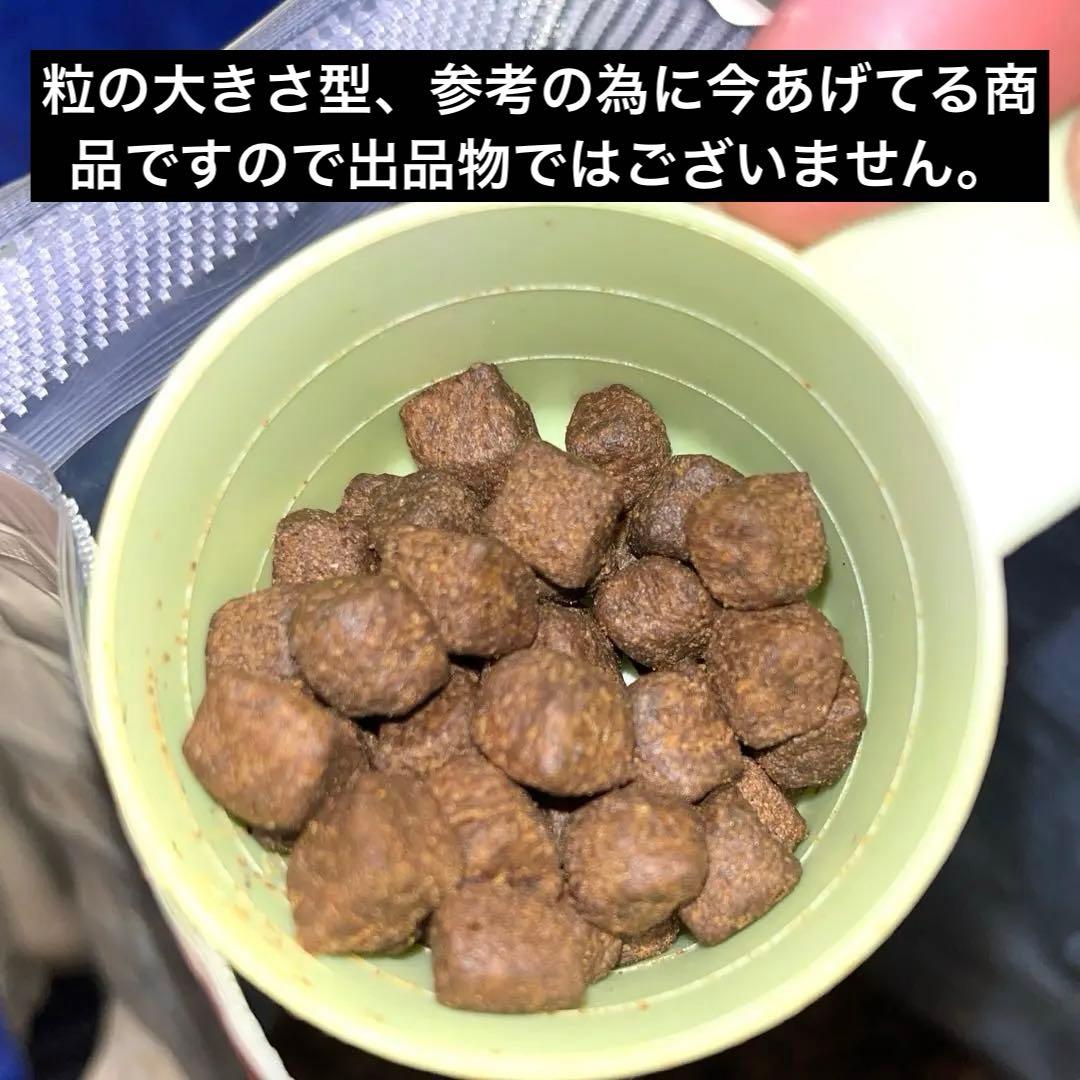 レティシアン　エッセンシャル ドッグフード 1.8kg×２袋
