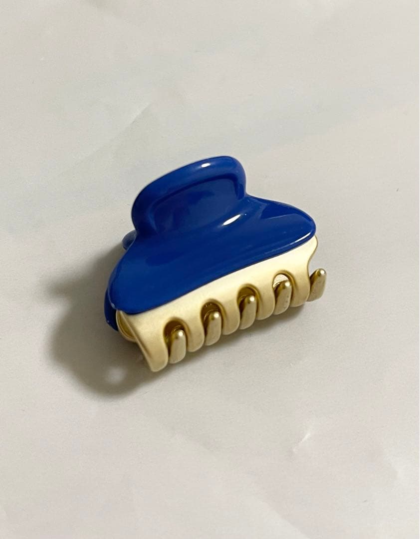 アレクサンドルドゥパリ　クリップ 1個