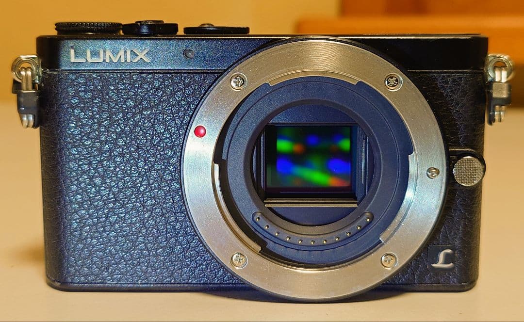 【極美品】LUMIX DMC-GM1 1600万画素 ボディ 最小・最軽量
