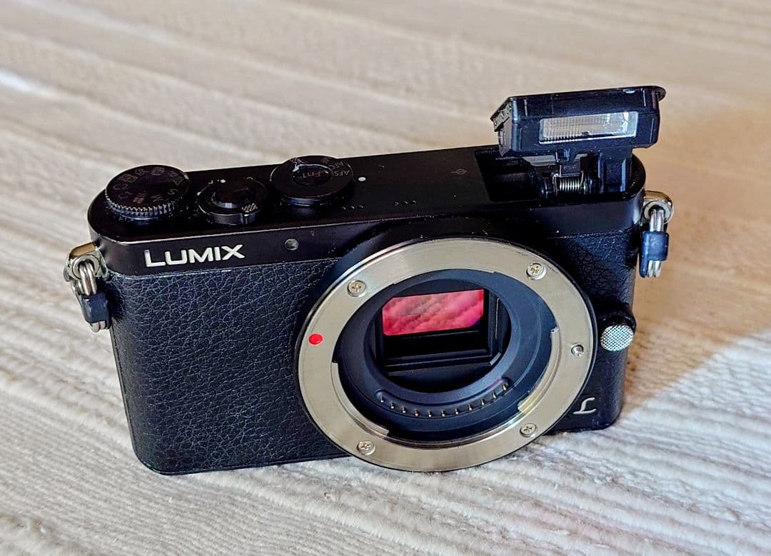 【極美品】LUMIX DMC-GM1 1600万画素 ボディ 最小・最軽量