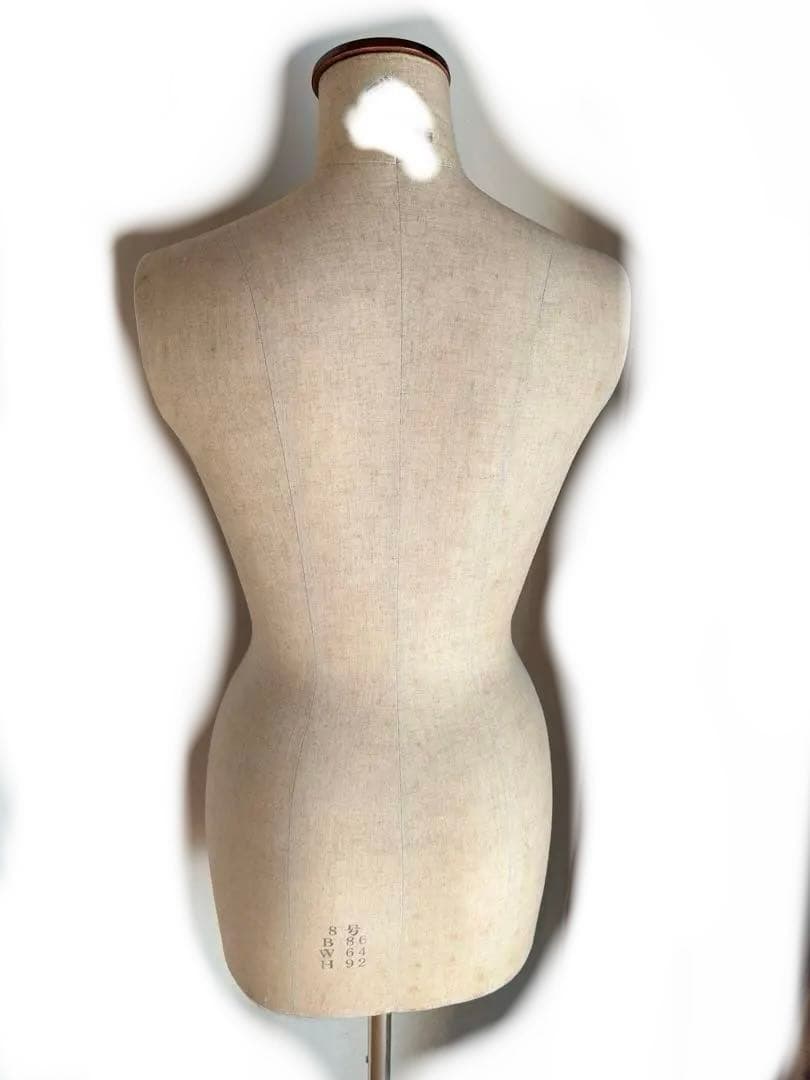 トルソー　ボディ