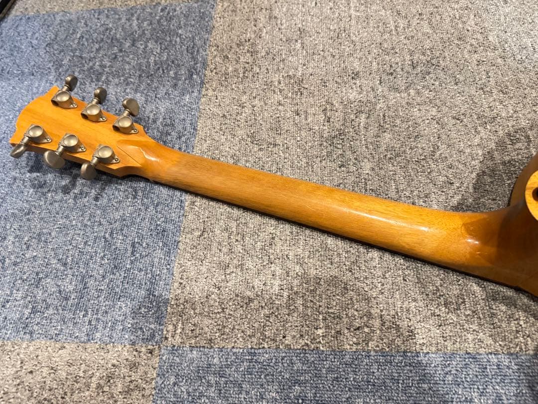 Cole Clark FL1AC コールクラーク