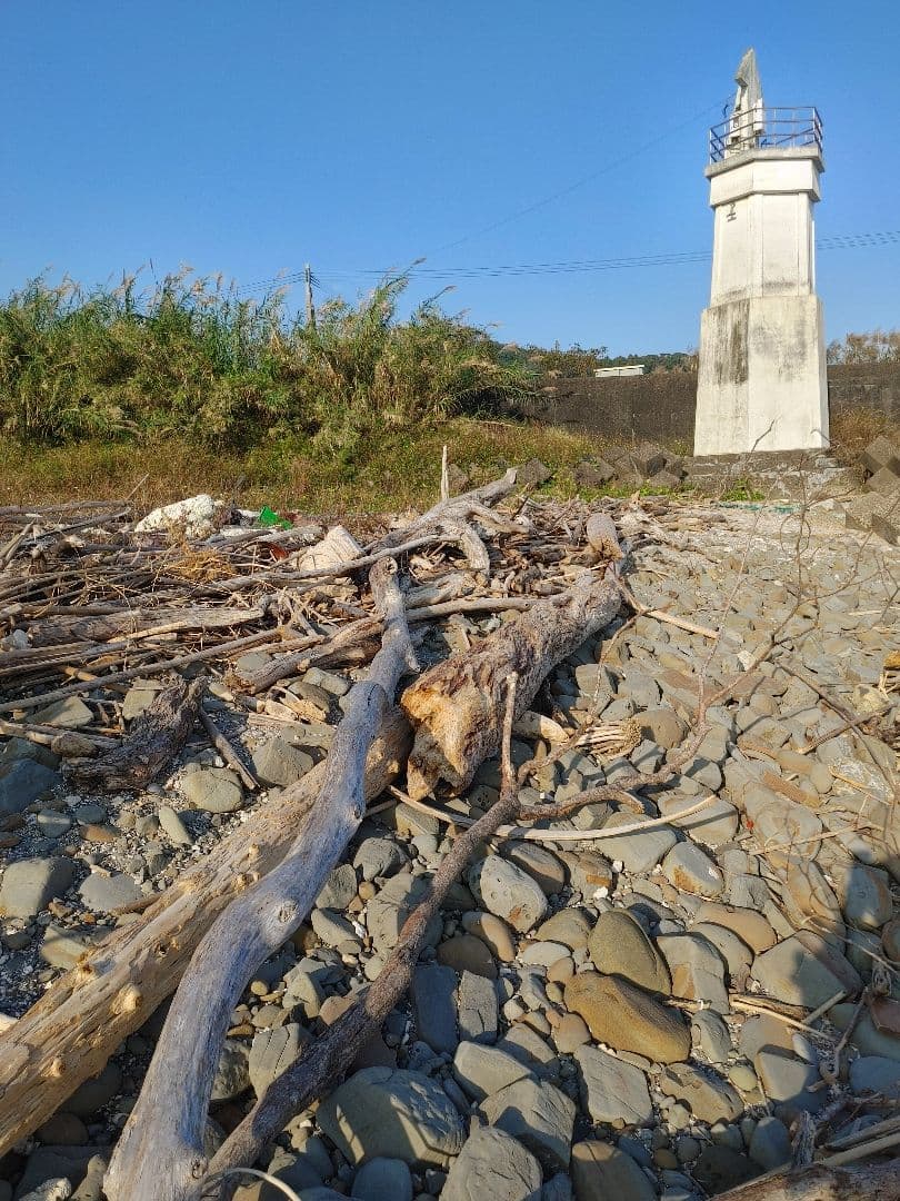 流木クリスマスツリー LEDライト付き
