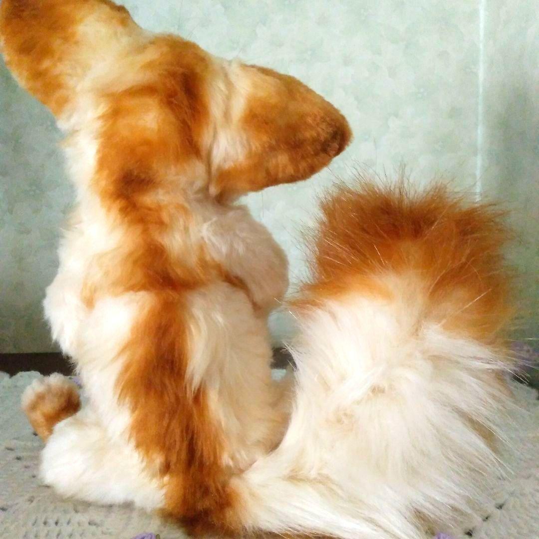 うずら　作家　アートドール　ぬいぐるみ　 フェネック