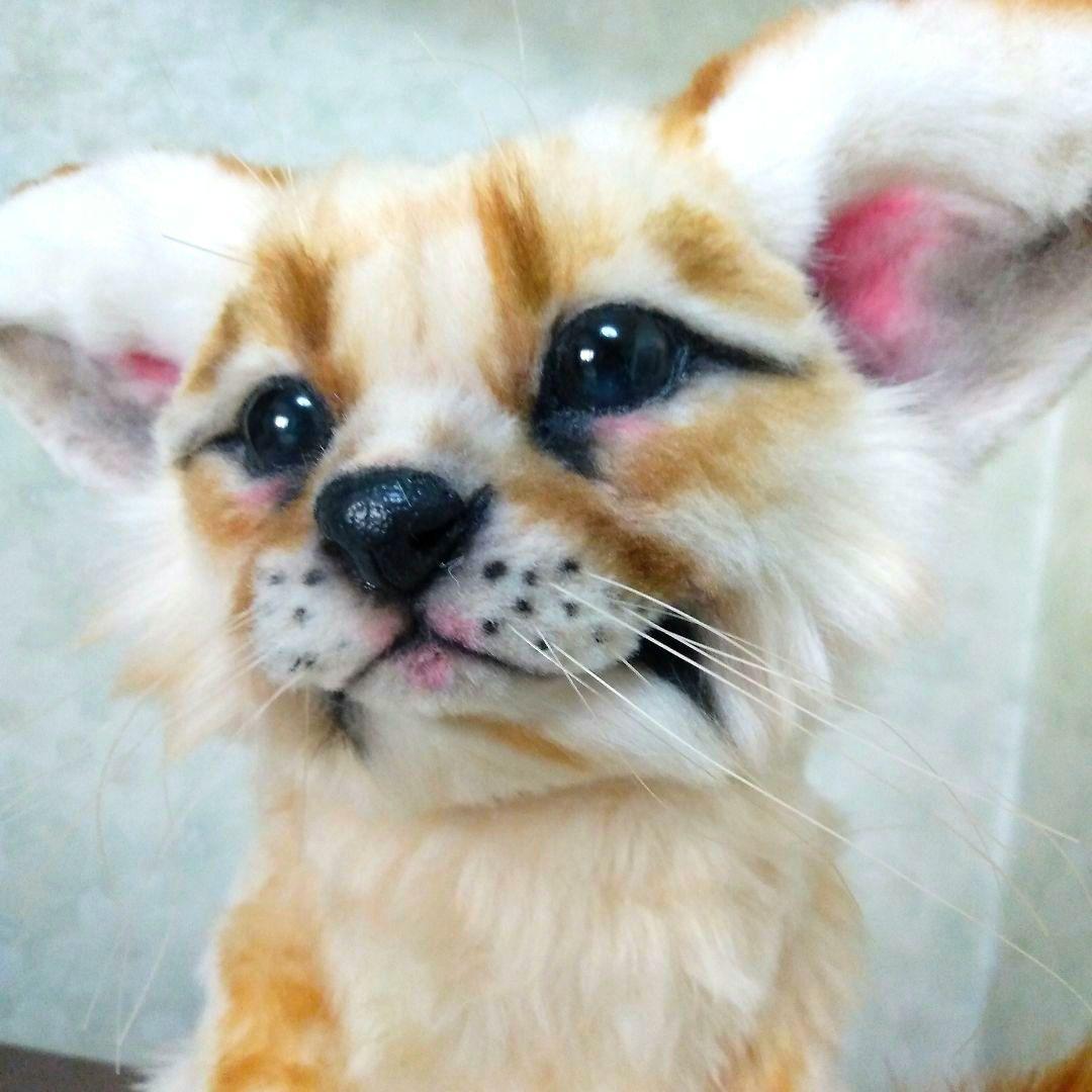 うずら　作家　アートドール　ぬいぐるみ　 フェネック