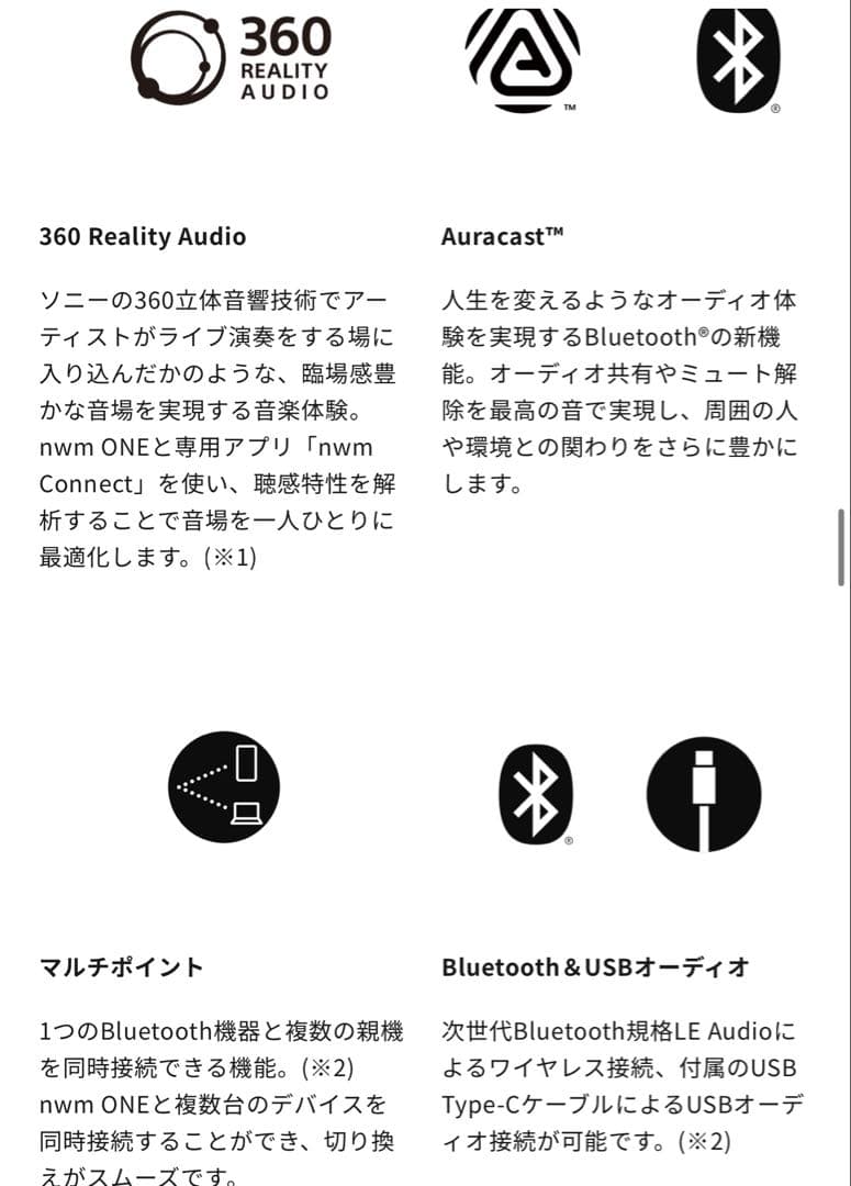 【新品未開封】nwm ONE ヘッドホン イヤースピーカー ダークグレー