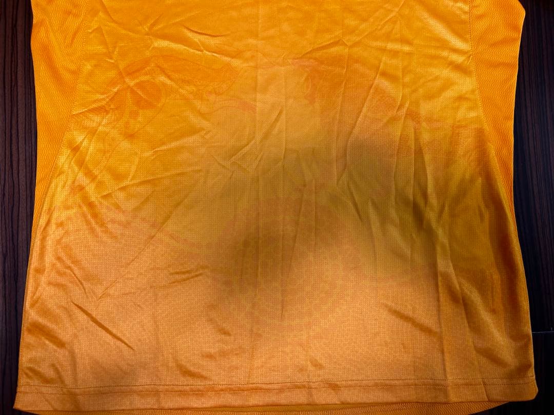 アシックス　オーストラリア代表 ワラビーズ　ライオンズツアーシャツ　L