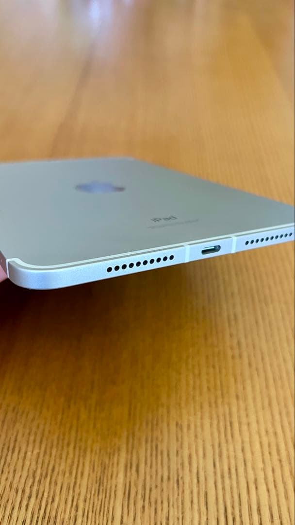 Apple iPad mini 第６世代　256GB Wi-Fi+セルラー