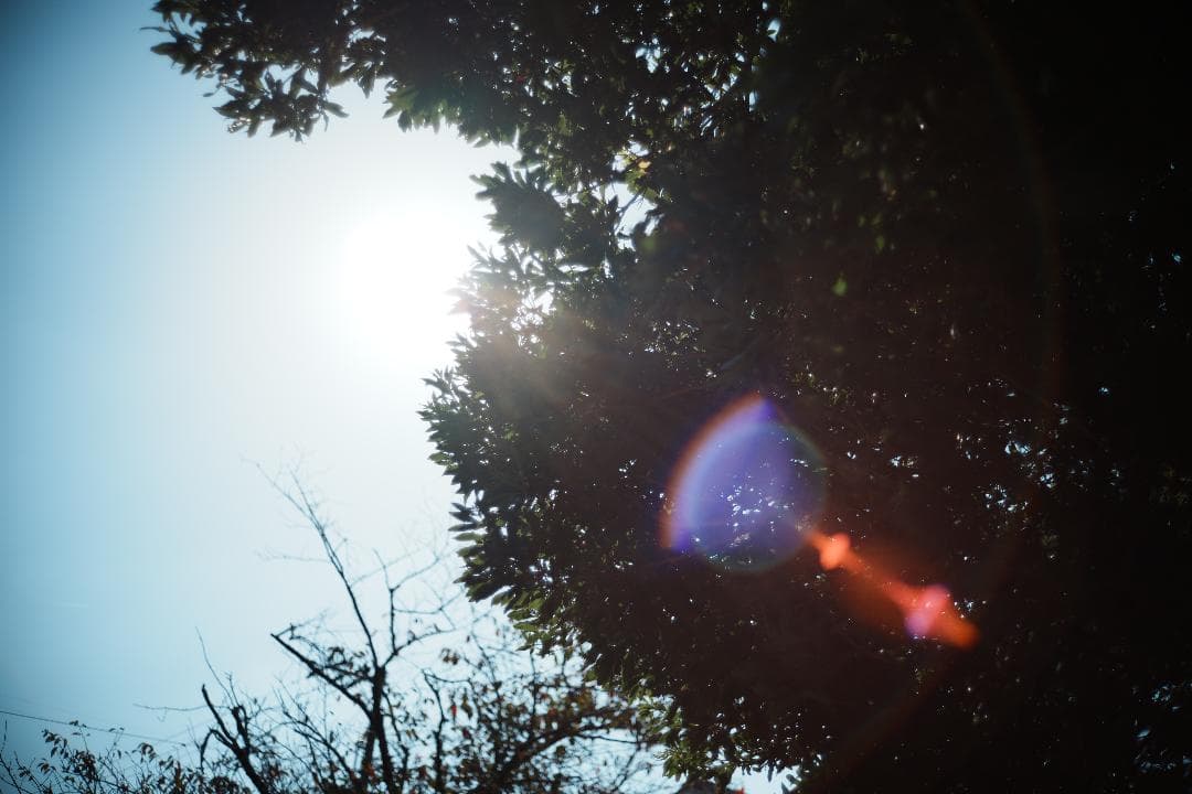 ライカ M-ROKKOR 40mm F2｜街と家族をやわらかく描く一本 015