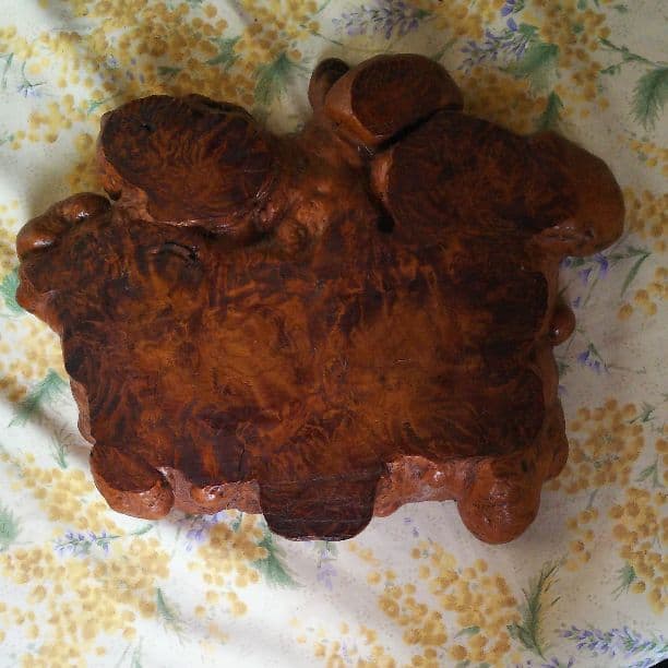 屋久杉置物、縄文杉の近く