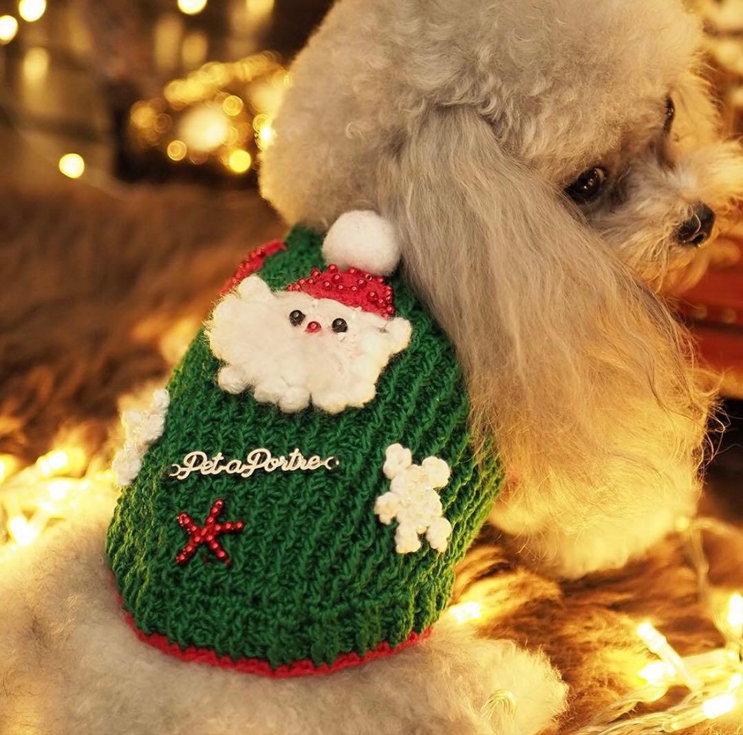 Pet a Portre (ペットアポルテ）「ル　パパ　ノエル」