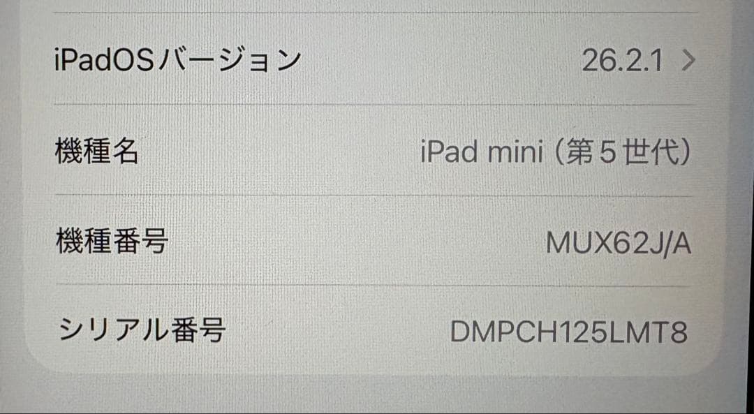 iPad mini5 SIM フリー 64G セルラー　シルバー