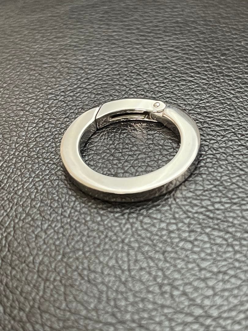 未使用 WILDSWANS ワイルドスワンズ カラビナ キーリング M