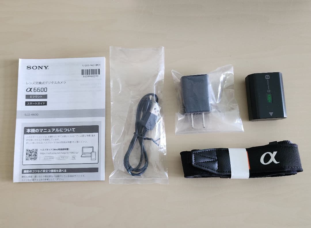 SONY α6600 ミラーレス一眼カメラ 本体 ／付属品付き