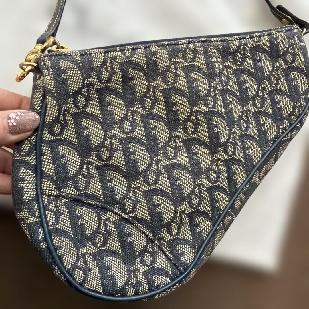 dior ディオール サドル トロッター