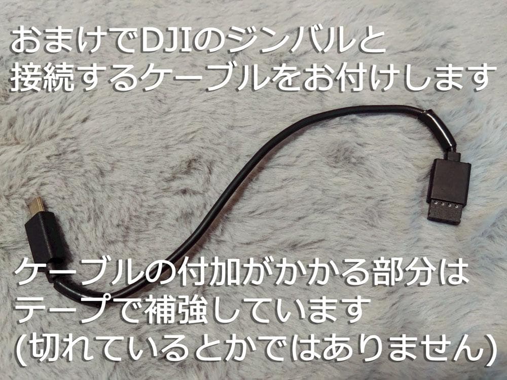 美品 SONY FDR-AX700 ビデオカメラ CPL・大容量バッテリーセット