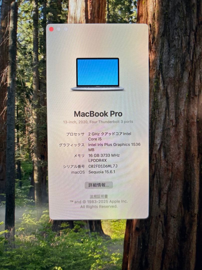 MacBook Pro 13インチ 2020 / 16GB