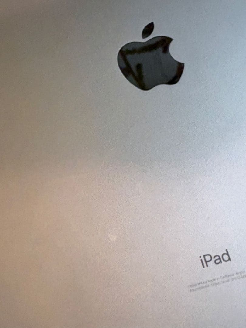 Apple iPad (第7世代) MW6A2J/A