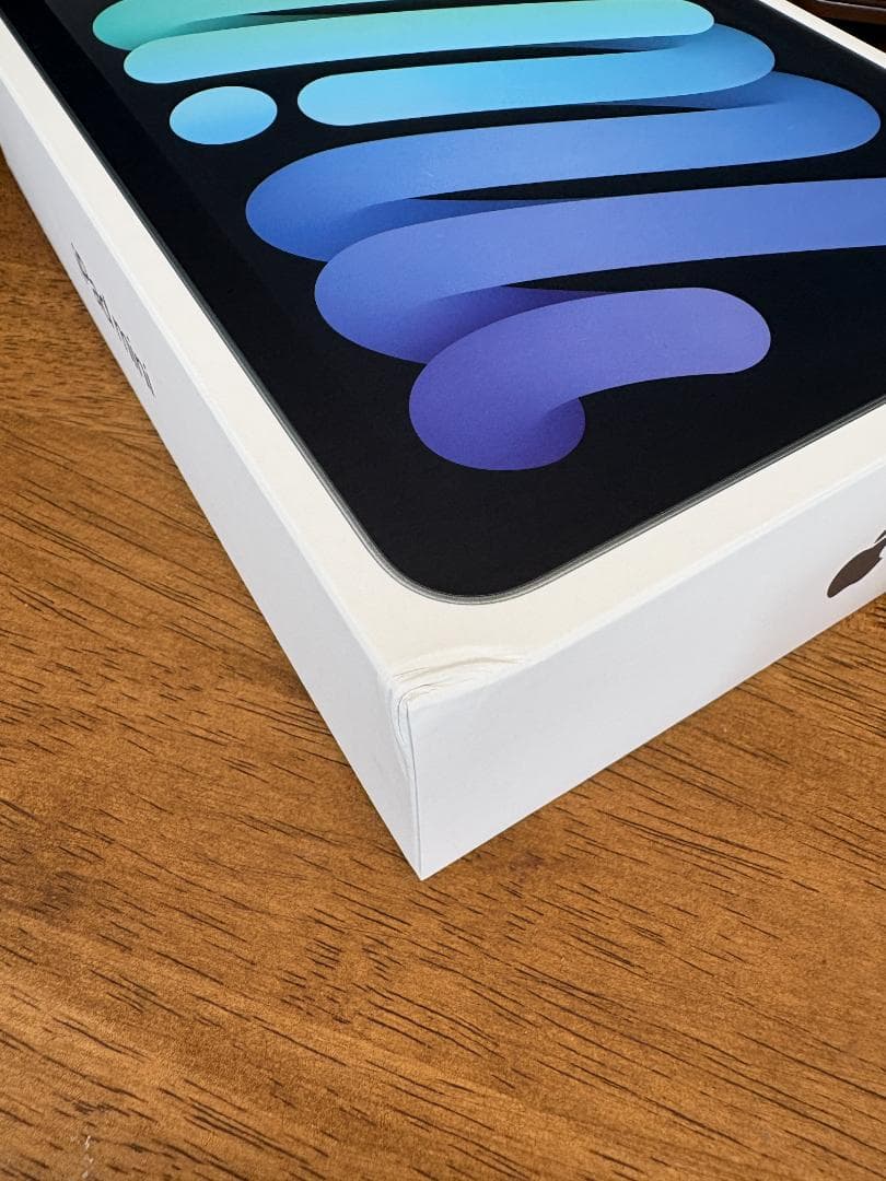 iPad本体 iPad mini 7 Wi-Fi256GB Apple Pencil Pro