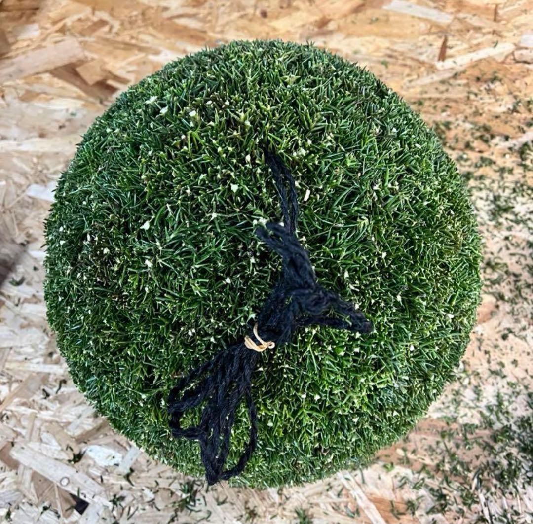 杉玉　約45センチ ワイヤーで‼️お客様ご注文品♪